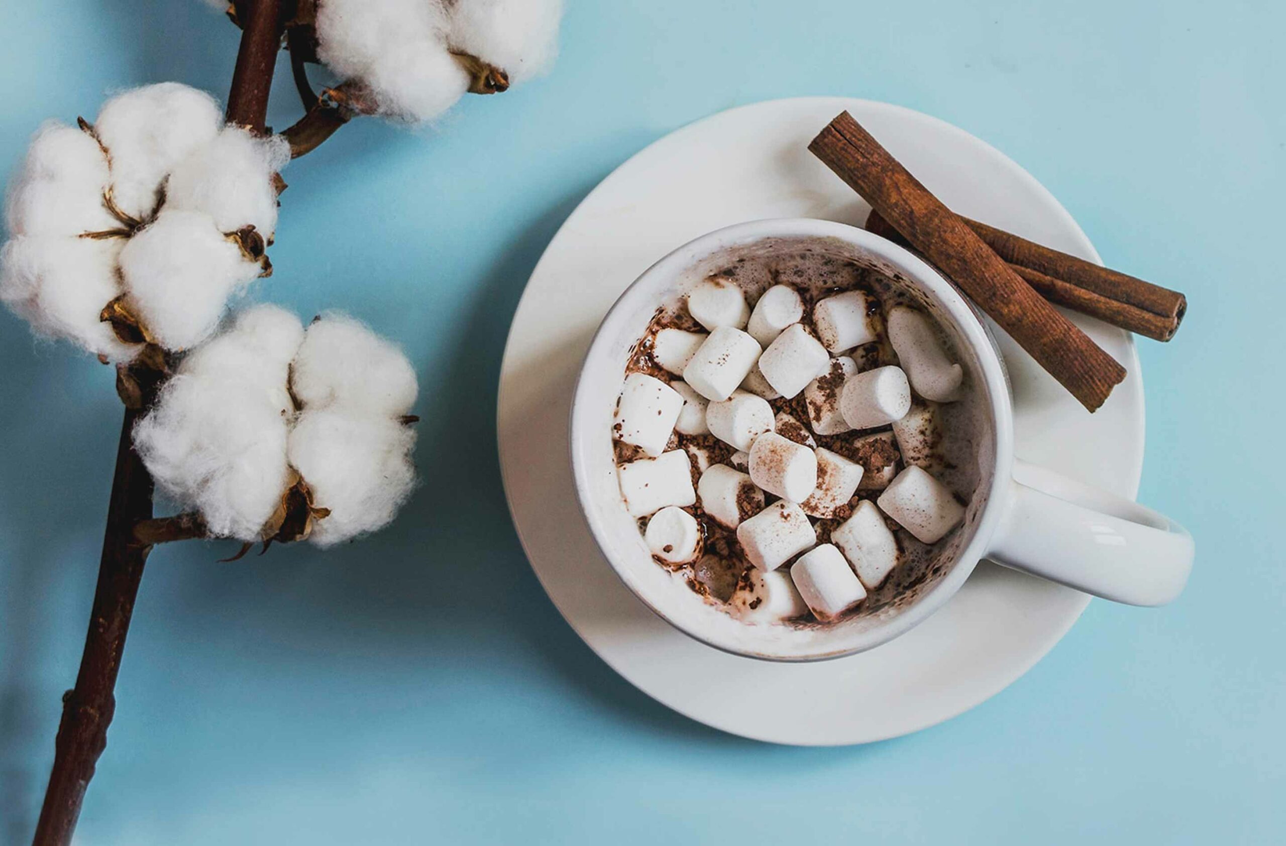 Video Recipe: Making Homemade Marshmallows – Magic Circle Players