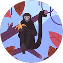 Christian Marzolf profile picture